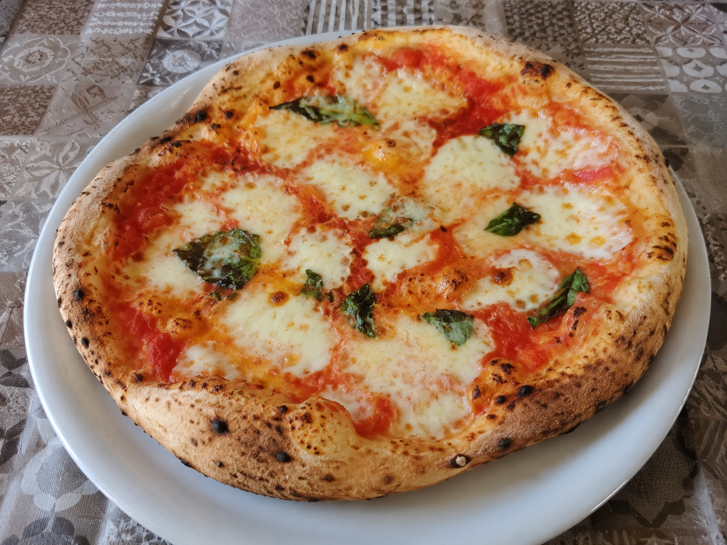 Pizza margherita perfetta cucinata a casa